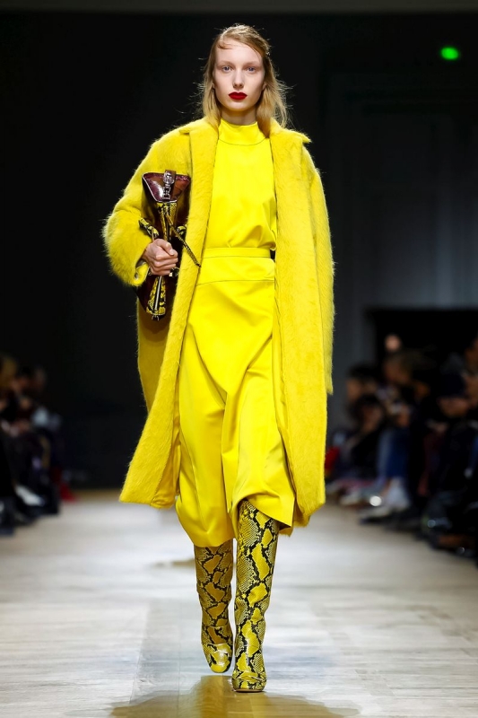 Demy de Vries shows Parijs Fall 2018 Rochas